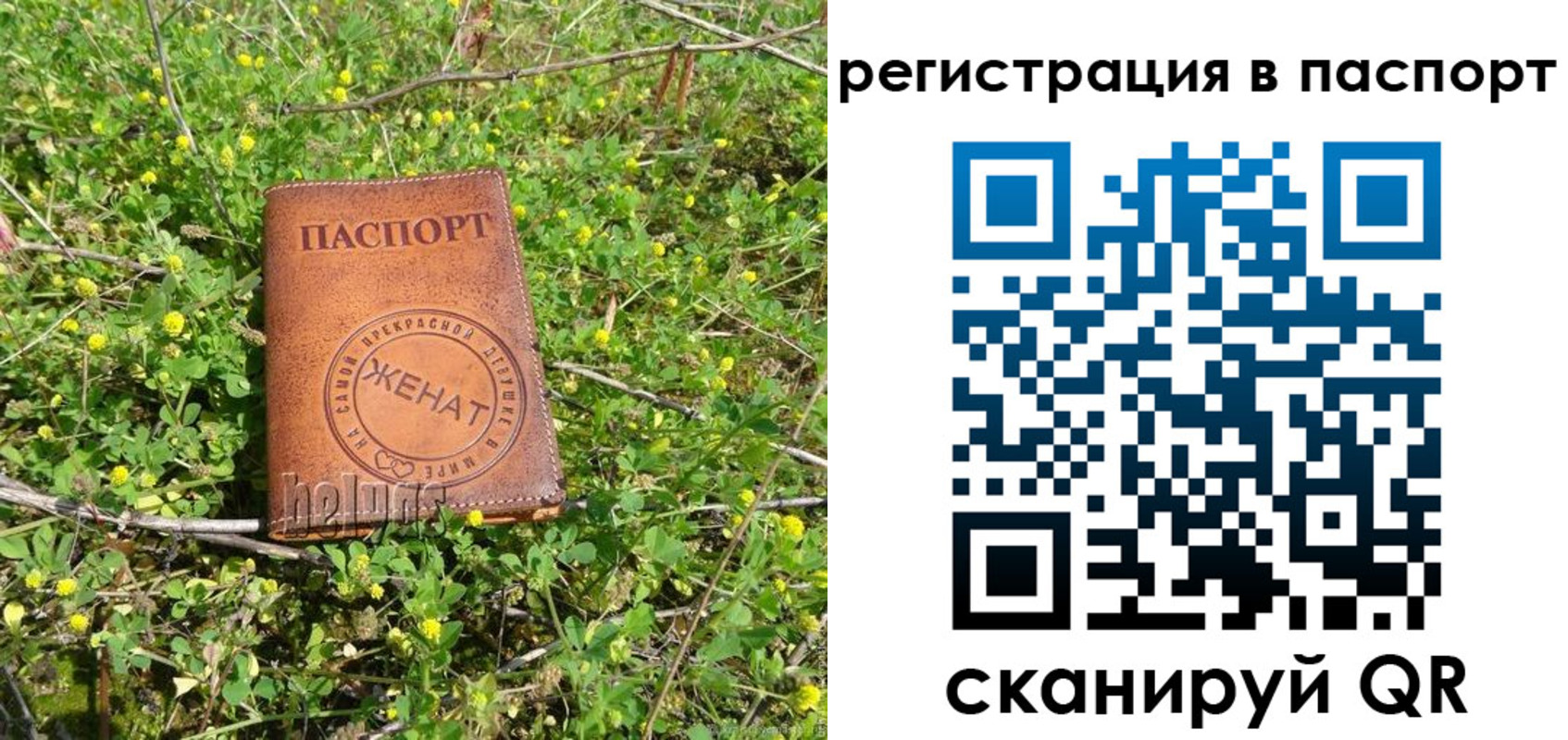прописка законно в Полярном